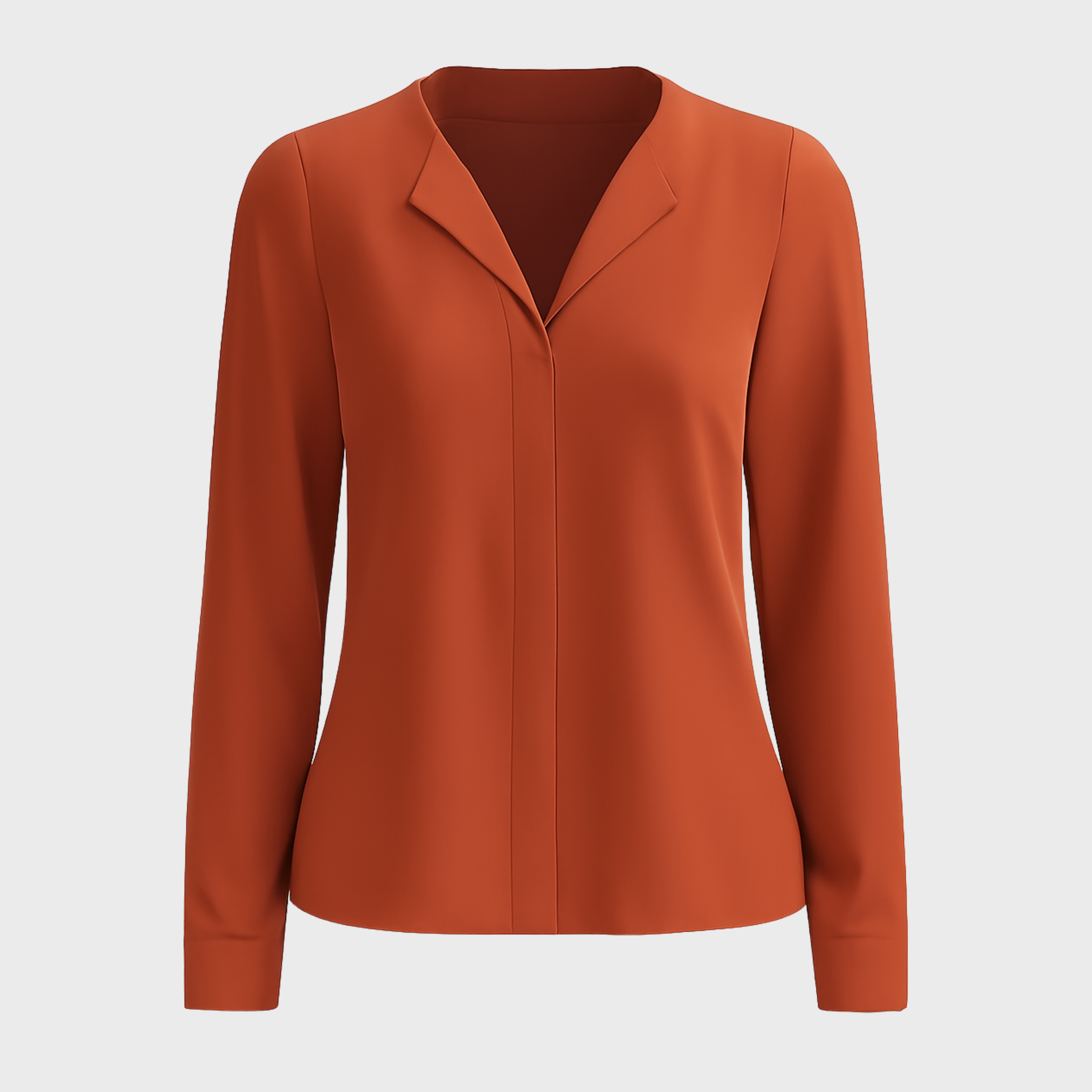 V-Neck Collar Long Sleeve Top