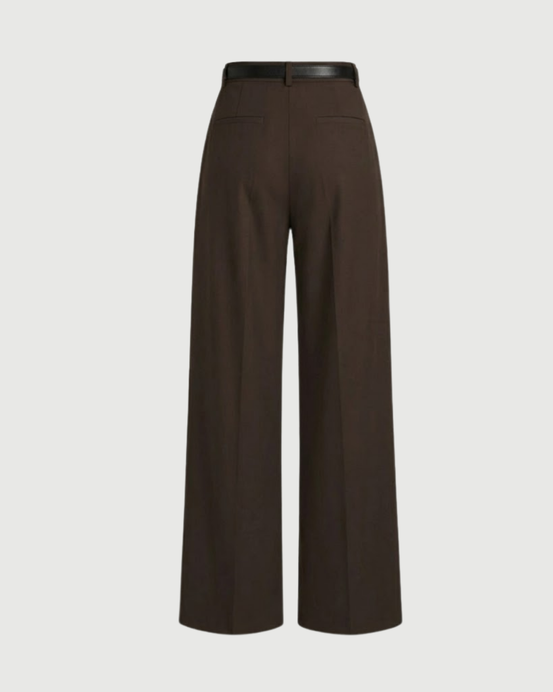 Classic Pleated Straight Leg Trousers-Coffee