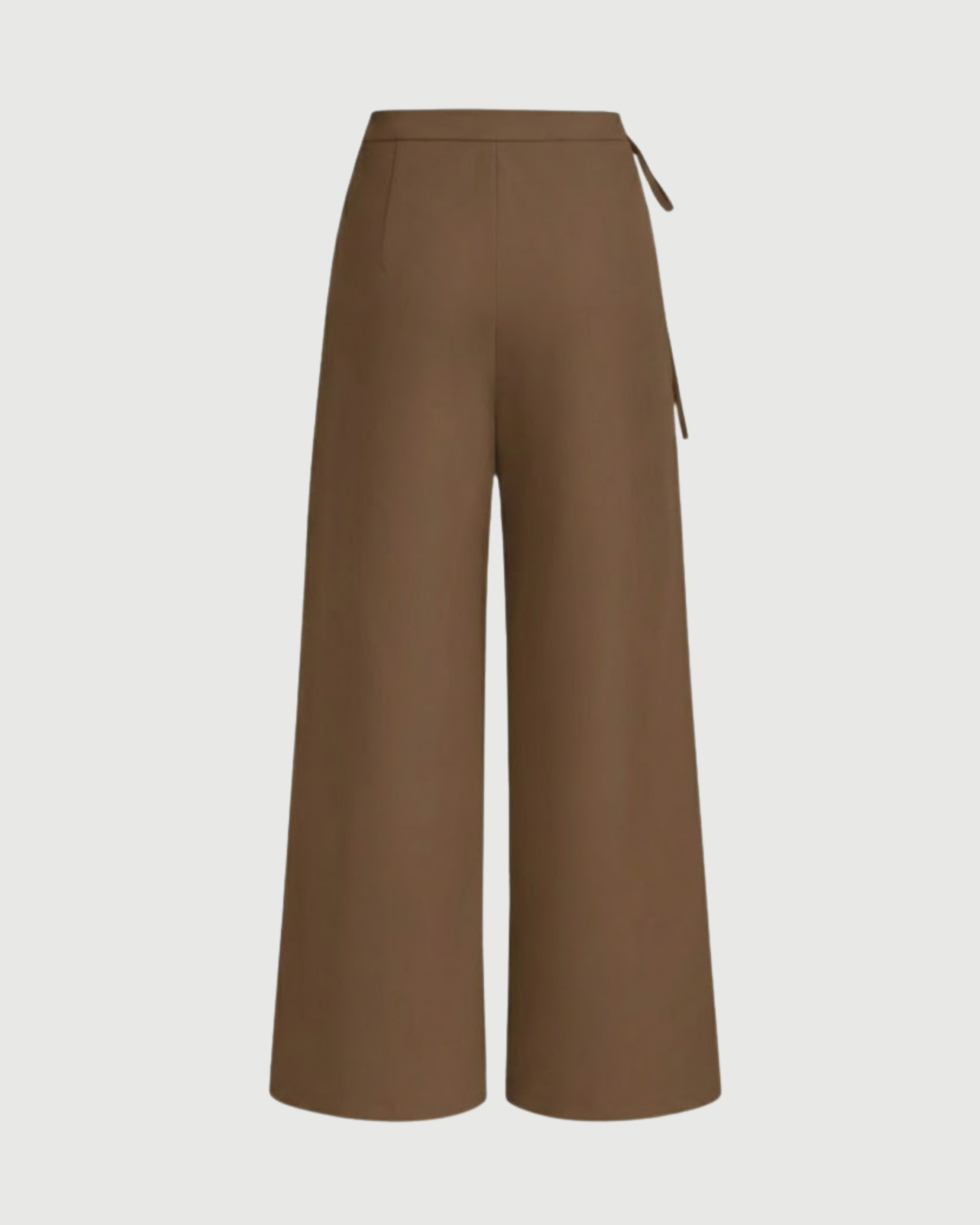 Tie-Side Pleated Trousers-Brown