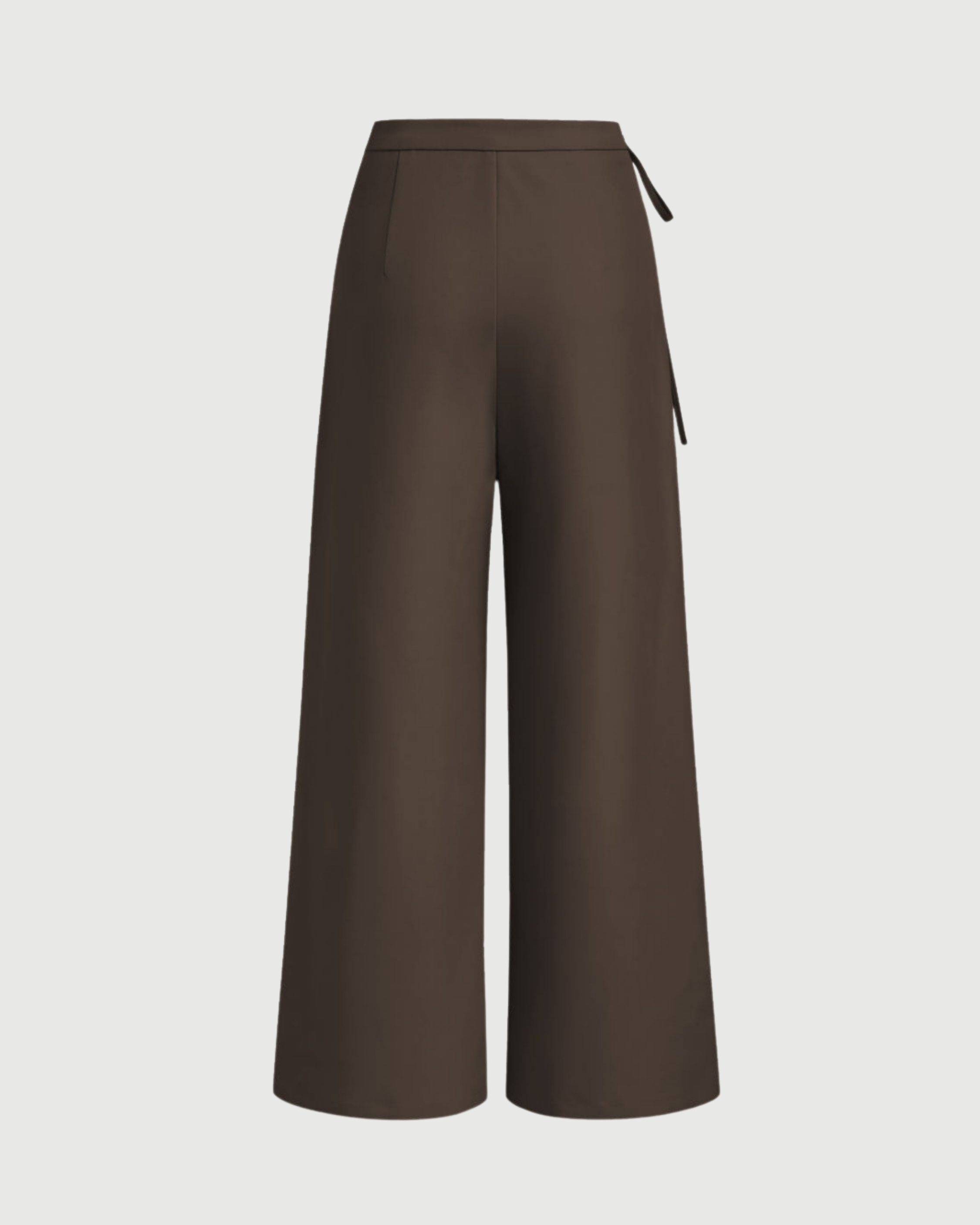 Tie-Side Pleated Trousers-Coffee